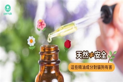 寵物 精油 禁忌|天然不等於安全！原來這些精油對貓狗健康有危。